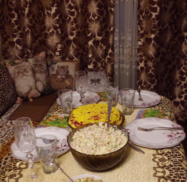 Кошки в нашей жизни. Кошки и все, что с ними связано.