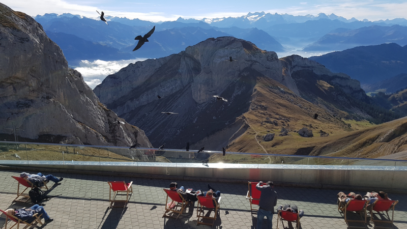Цюрих, водопад и немного Пилатус