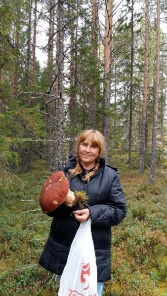 Финляндия, трехдневная вылазка на природу