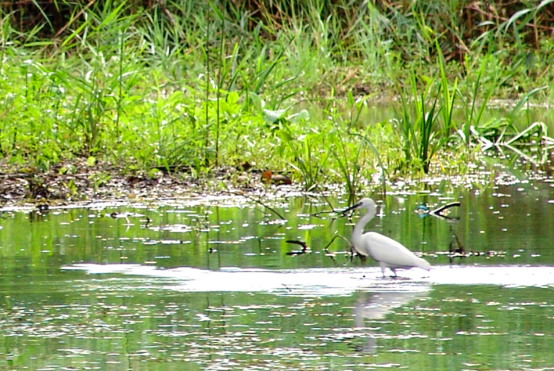 Из Воронежа через Западную Украину в Румынию - Болгарию - Дельту Дуная - Одессу