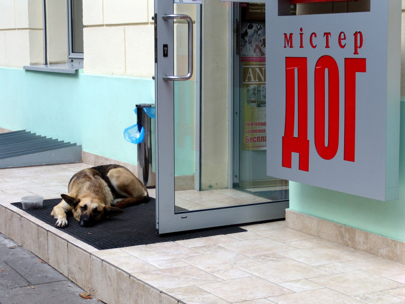 Из Воронежа через Западную Украину в Румынию - Болгарию - Дельту Дуная - Одессу