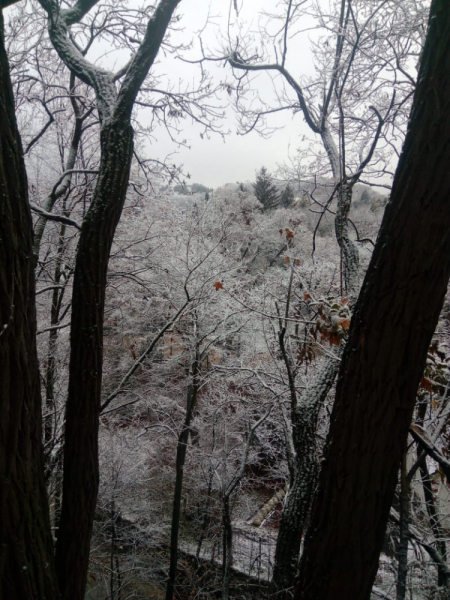 Кавказские Минеральные Воды