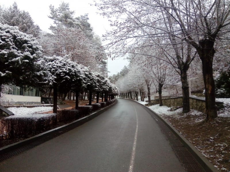 Кавказские Минеральные Воды