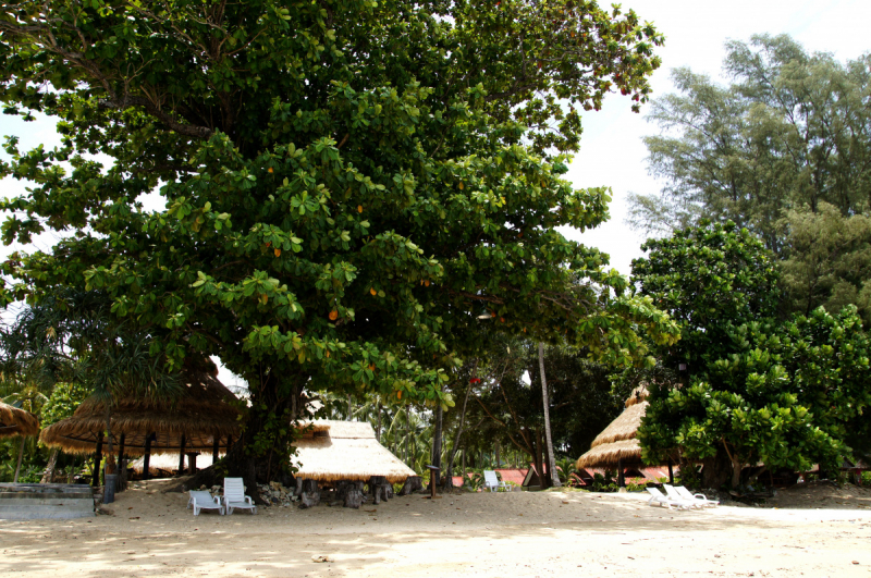 Koh Lanta