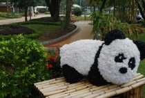 Китай моими глазами:Shanghai-Huangshan-Macau-Hainan/Wenchang Китай моими глазами:Shanghai-Huangshan-Macau-Hainan/Wenchang