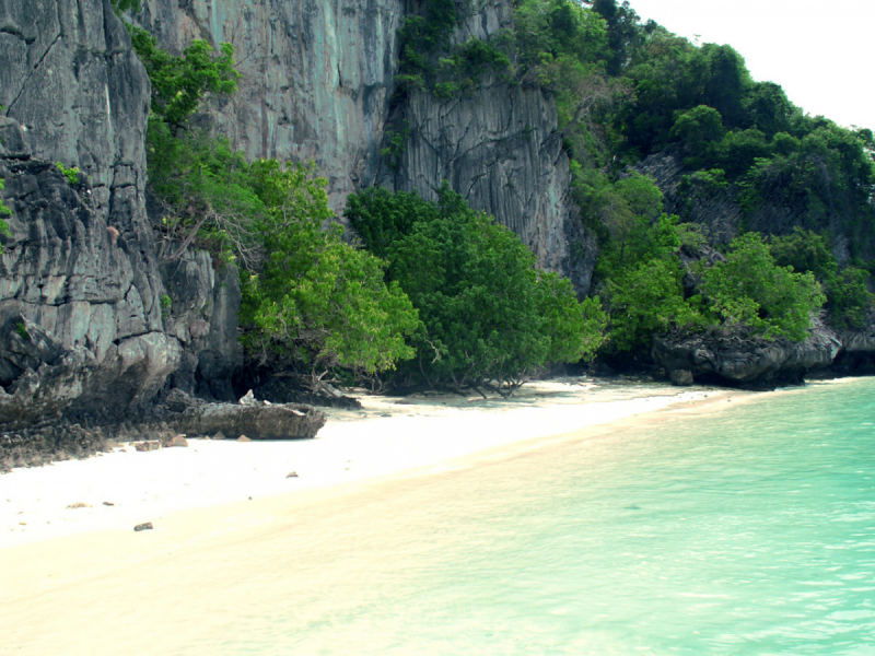 Phi-Phi