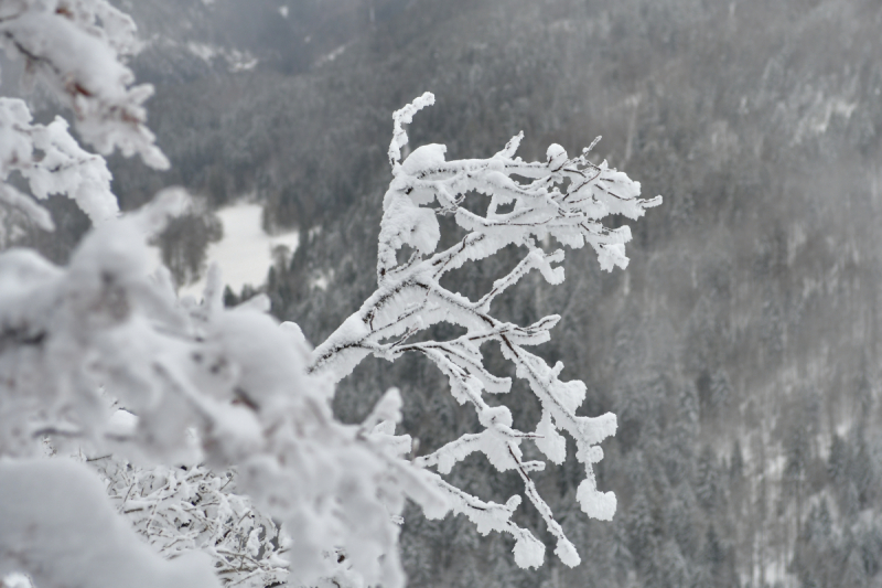 Невшатель. Город и кантон.