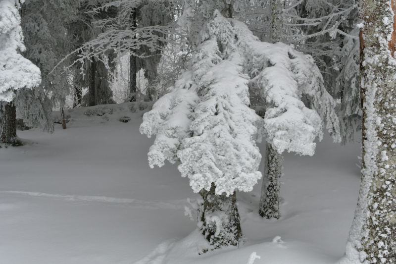 Невшатель. Город и кантон.