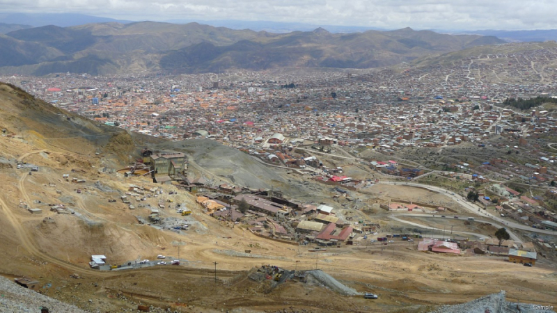 Боливия обыкновенная (Ноябрь 2018 года)