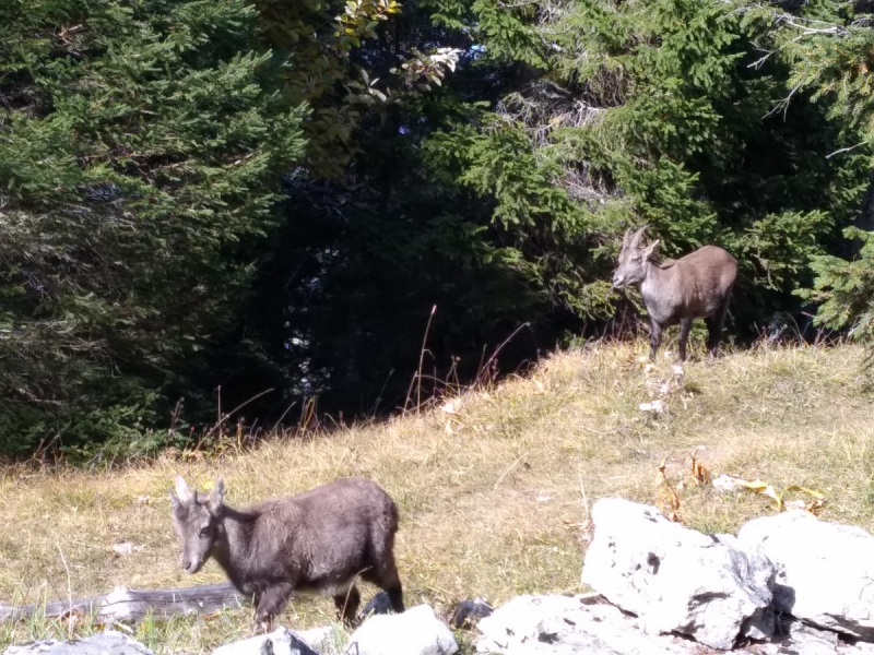 Невшатель. Город и кантон.