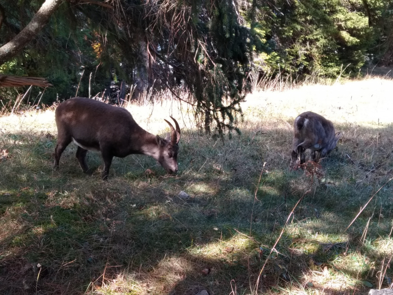 Невшатель. Город и кантон.