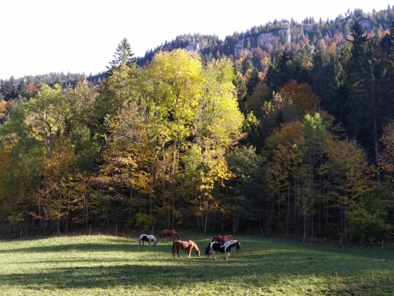 Невшатель. Город и кантон.