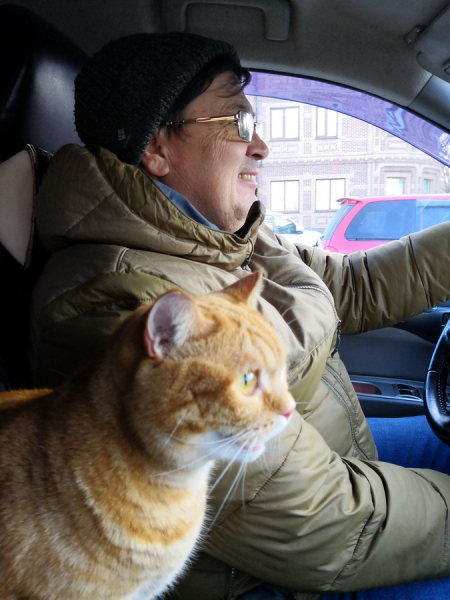 Кошки в нашей жизни. Кошки и все, что с ними связано.