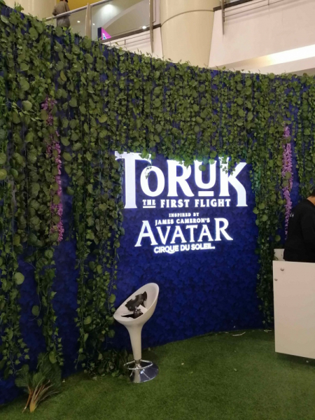 Сауди Аравия (в основном Эр Рияд)