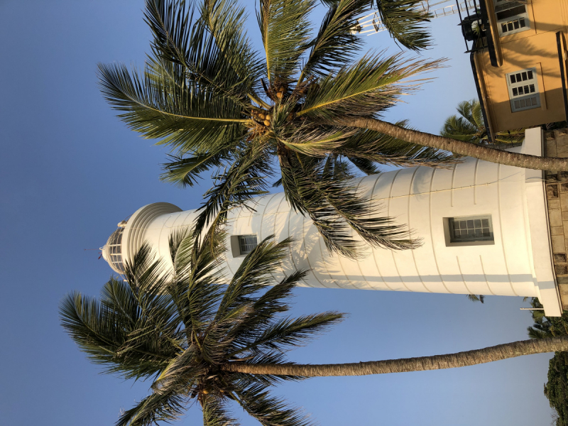 Унаватуна (Шри-Ланка): отели, апартаменты, где жить — отзывы, бронирование с картой РФ