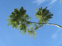 Другая планета - Австралия (конец мая-начало июня 2010).