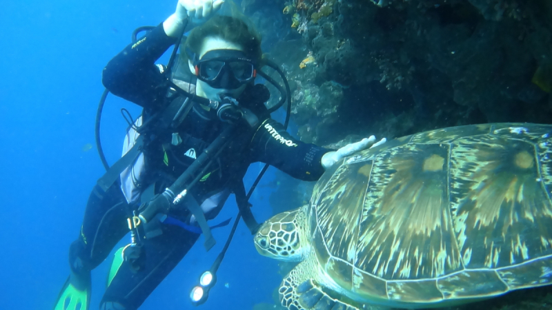 Lembeh, Bunaken дайвинг декабрь 2018 - январь 2019