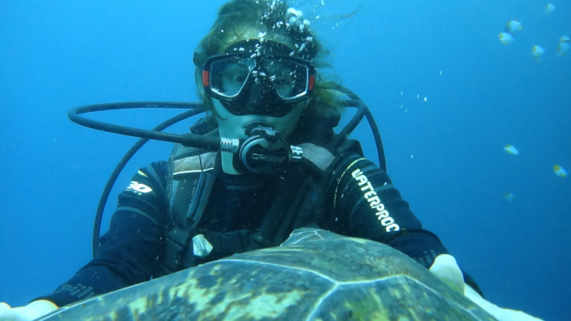 Lembeh, Bunaken дайвинг декабрь 2018 - январь 2019