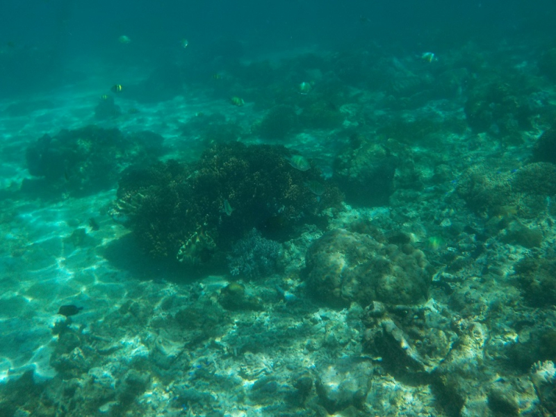 Девятнадцатидневный маршбросок по Филиппинам в ноябре-декабре 2018: Лусон-Палаван-Себу-Бохоль-Негрос-Сикихор-Апо и куча островков архипелага Бакуит