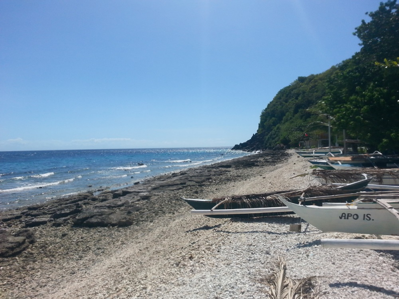 Девятнадцатидневный маршбросок по Филиппинам в ноябре-декабре 2018: Лусон-Палаван-Себу-Бохоль-Негрос-Сикихор-Апо и куча островков архипелага Бакуит