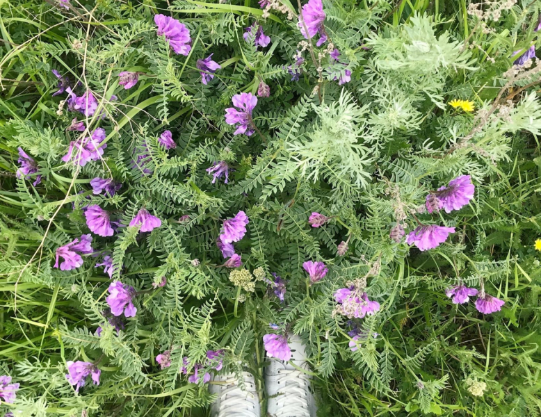 Армения за 3+ дня в июне