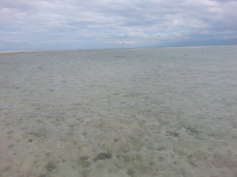 Девятнадцатидневный маршбросок по Филиппинам в ноябре-декабре 2018: Лусон-Палаван-Себу-Бохоль-Негрос-Сикихор-Апо и куча островков архипелага Бакуит