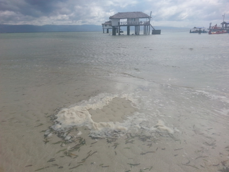 Девятнадцатидневный маршбросок по Филиппинам в ноябре-декабре 2018: Лусон-Палаван-Себу-Бохоль-Негрос-Сикихор-Апо и куча островков архипелага Бакуит