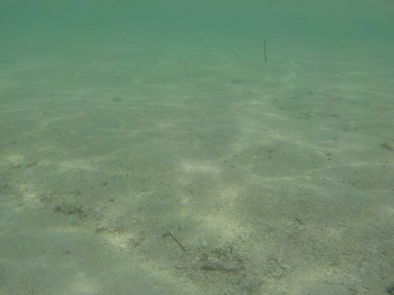 Девятнадцатидневный маршбросок по Филиппинам в ноябре-декабре 2018: Лусон-Палаван-Себу-Бохоль-Негрос-Сикихор-Апо и куча островков архипелага Бакуит