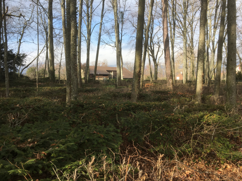 Невшатель. Город и кантон.