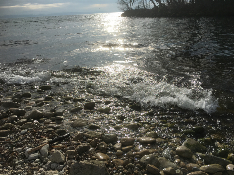 Невшатель. Город и кантон.