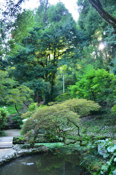 Грузия. Сложилось! Июль 2018. Тбилиси-Степанцминда-Вардзия-Боржоми-Батуми