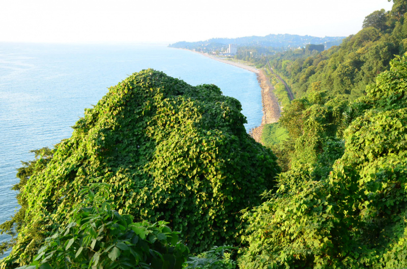 Грузия. Сложилось! Июль 2018. Тбилиси-Степанцминда-Вардзия-Боржоми-Батуми