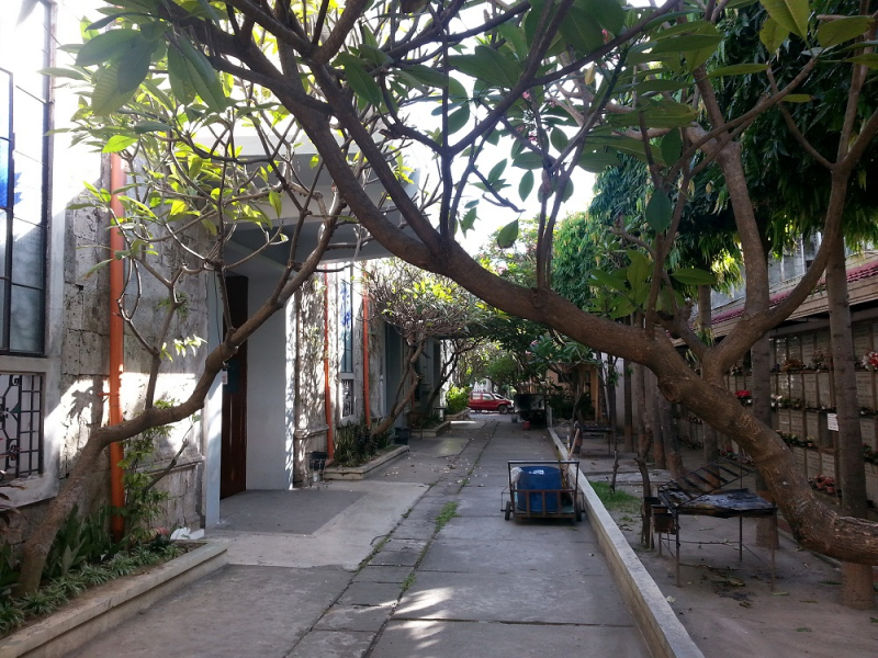 Девятнадцатидневный маршбросок по Филиппинам в ноябре-декабре 2018: Лусон-Палаван-Себу-Бохоль-Негрос-Сикихор-Апо и куча островков архипелага Бакуит