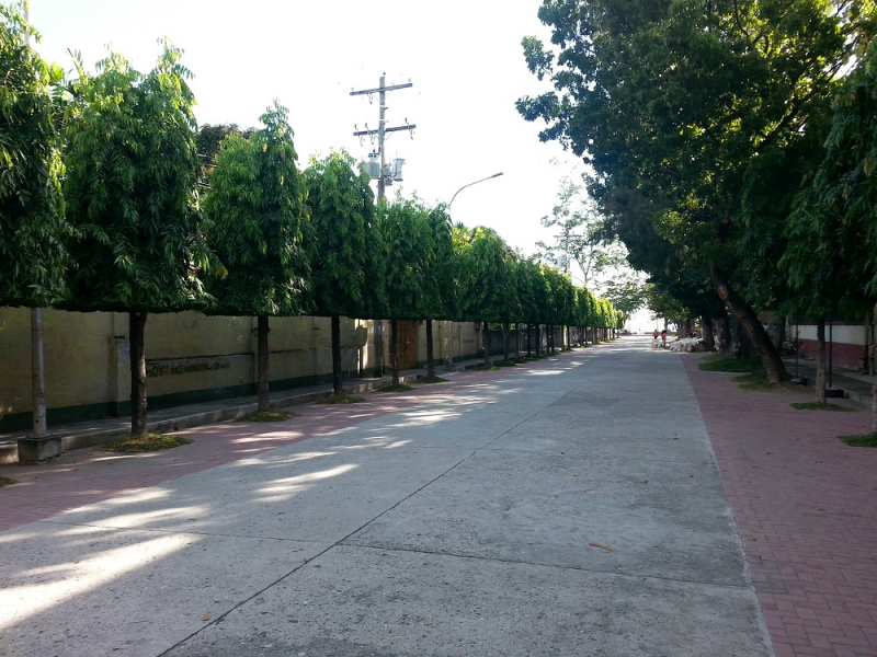 Девятнадцатидневный маршбросок по Филиппинам в ноябре-декабре 2018: Лусон-Палаван-Себу-Бохоль-Негрос-Сикихор-Апо и куча островков архипелага Бакуит