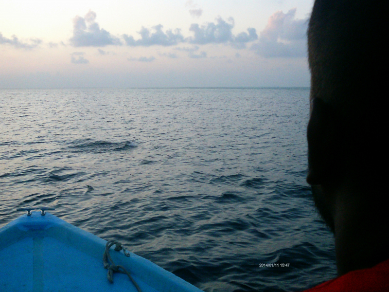 Скрупулезное описание малобюджетной поездки Hulhumale-Male-Villingili-Male-Rasdhoo-Himandhoo в январе 2019