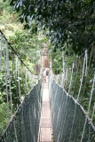 Малайзия октябрь 2011: Kuala Lumpur-Taman Negara-Pehentians