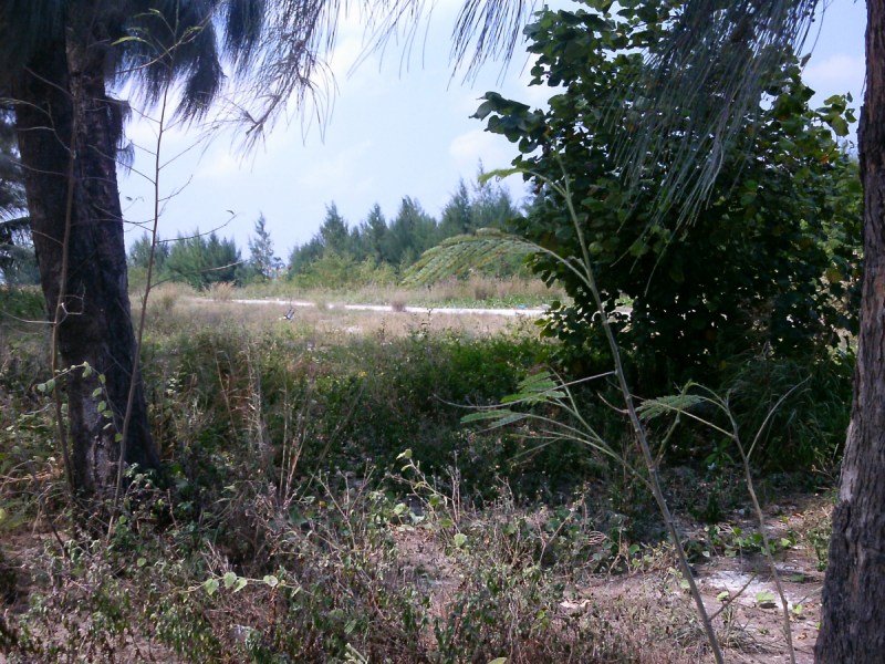 Скрупулезное описание малобюджетной поездки Hulhumale-Male-Villingili-Male-Rasdhoo-Himandhoo в январе 2019