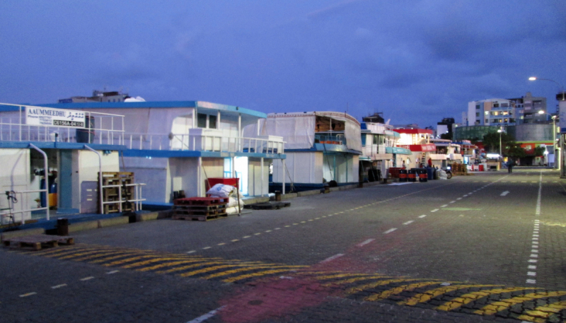 Скрупулезное описание малобюджетной поездки Hulhumale-Male-Villingili-Male-Rasdhoo-Himandhoo в январе 2019