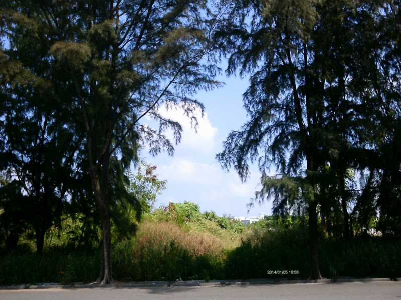 Скрупулезное описание малобюджетной поездки Hulhumale-Male-Villingili-Male-Rasdhoo-Himandhoo в январе 2019