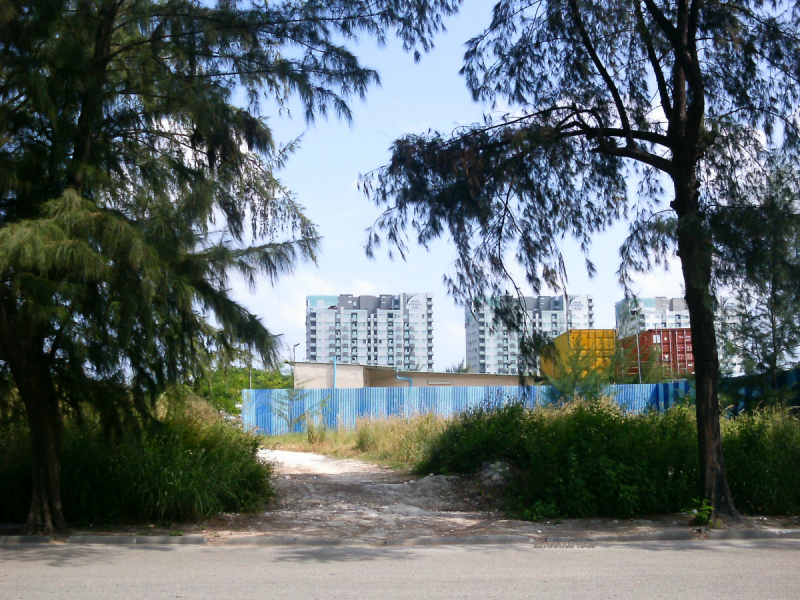 Скрупулезное описание малобюджетной поездки Hulhumale-Male-Villingili-Male-Rasdhoo-Himandhoo в январе 2019