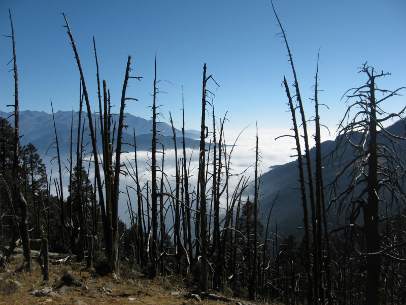 От Татопани к Татопани с видом на Ганеш химал