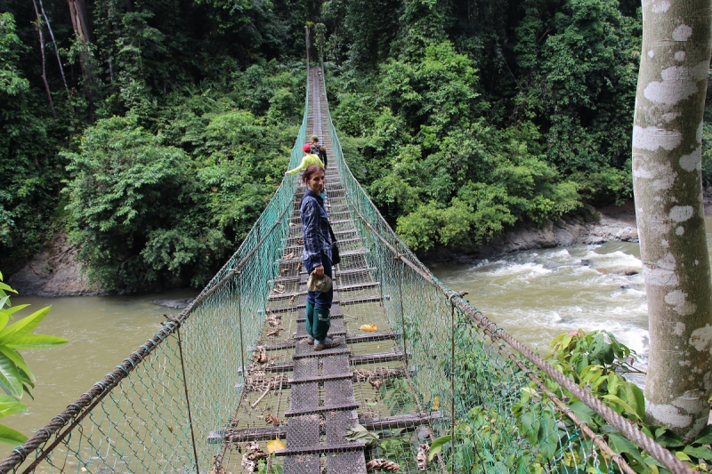 В джунглях Борнео: Данум Валлей и река Кинабатаган, июнь 2018