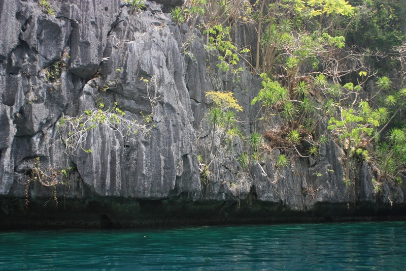 Гостеприимные Филиппины, или всего 4 острова из 7 000 - Бохоль, Себу, Боракай и Панглао. Март 2018 года
