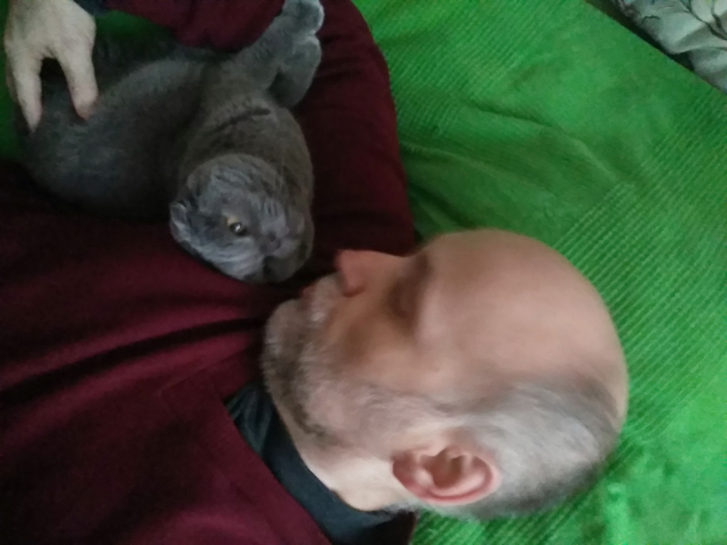 Кошки в нашей жизни. Кошки и все, что с ними связано.