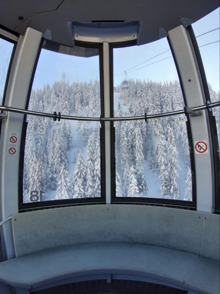 Альпийская сказка. Бавария на общественном транспорте в феврале 2019 г.