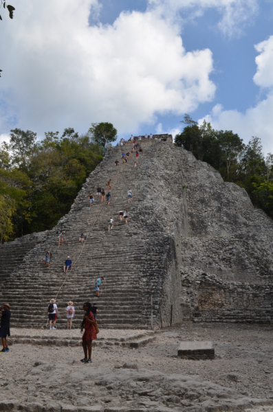 По Мексике общественным транспортом: киты, пирамиды, водопады и бабочки