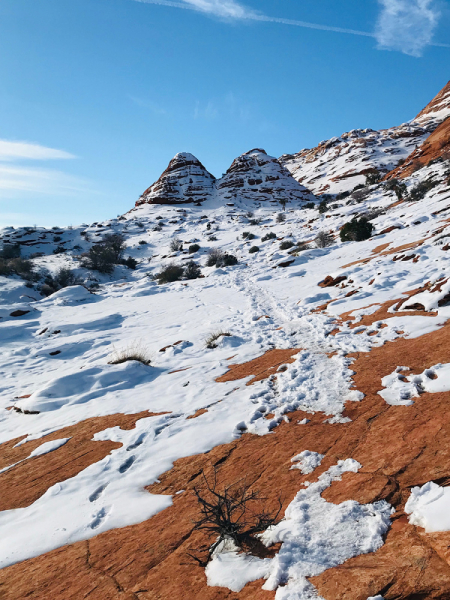 Поездка на The Wave (Coyote Buttes North)