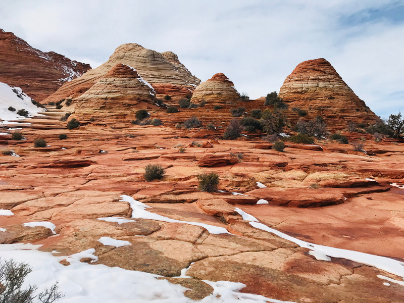 Поездка на The Wave (Coyote Buttes North)