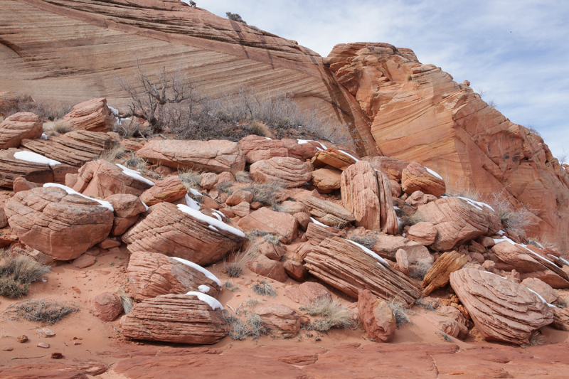 Поездка на The Wave (Coyote Buttes North)