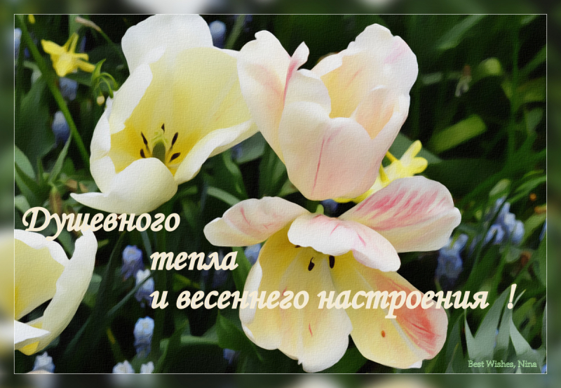 Разноцветные глаза озёр и мудрые шапки гор. Приятное знакомство с Рива-дель-Гарда и прошение принять к Доломитовым Альпам.